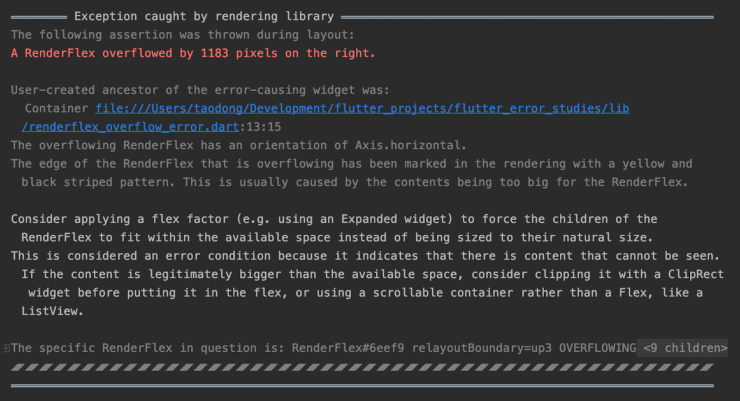 Flutter error message