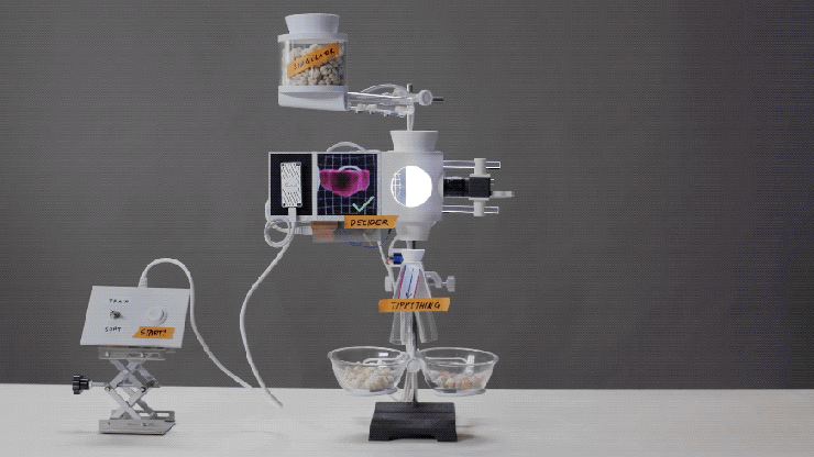 New Teachable Sorter project tutorial