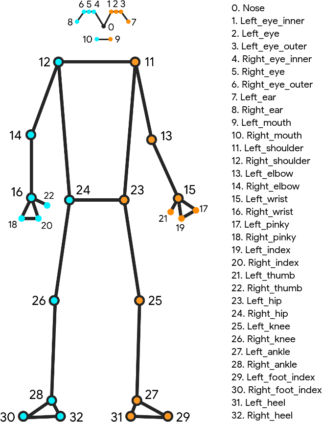 Skeleton image detailing all 33 landmark points