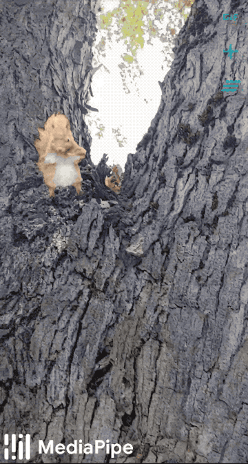 Demonstration of GIF placement in 3D